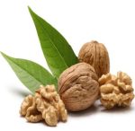 walnuts10